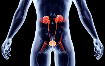 Zapalenie Dróg Moczowych — po czym poznać?