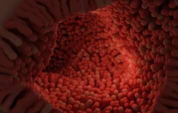 Pasożyty ludzkie — poznaj rodzaje, objawy i sposoby leczenia