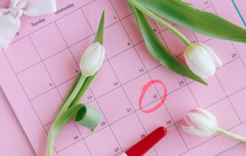 Kalkulator dni płodnych – jak obliczyć dni płodne w kalendarzu?