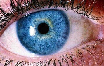 Maść do oczu z antybiotykiem na receptę